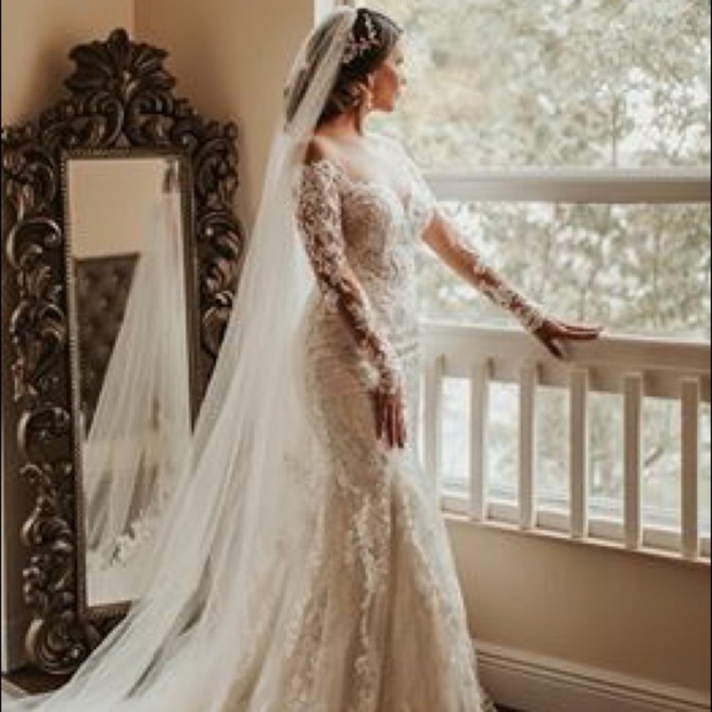 Wedding dress and veil